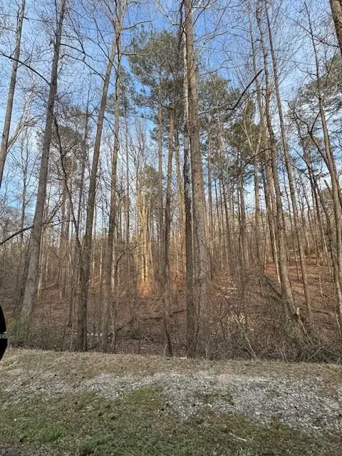 00 Cascade Palmetto Highway, Fairburn, GA 30213 - #3