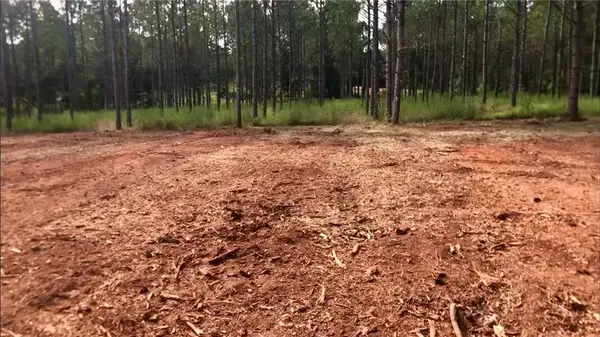 0 Sanford Road, Nicholson, GA 30565