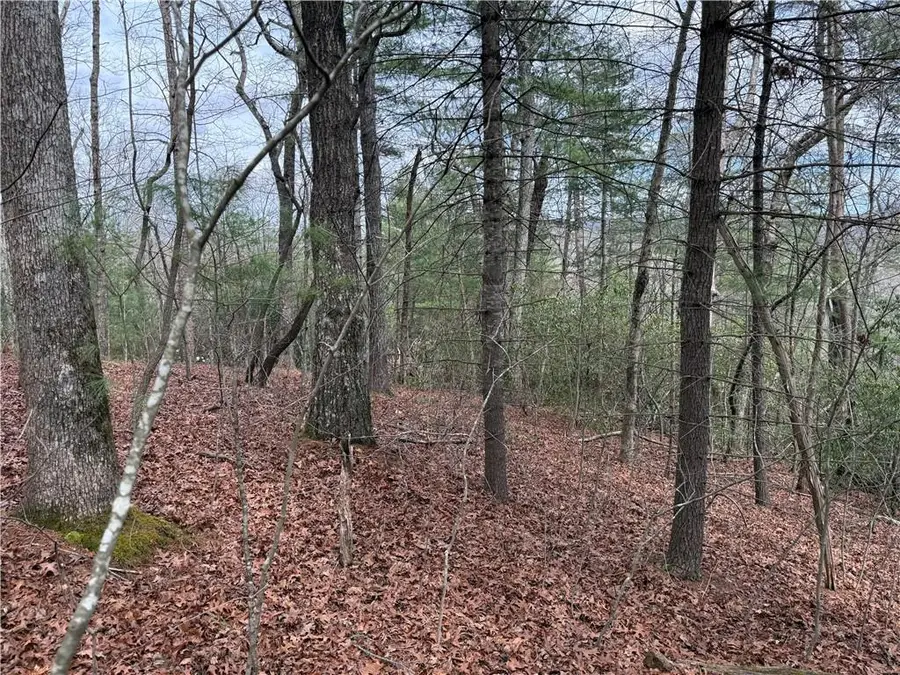 Lot 13 Frances Drive, Ellijay, GA 30536 - #2