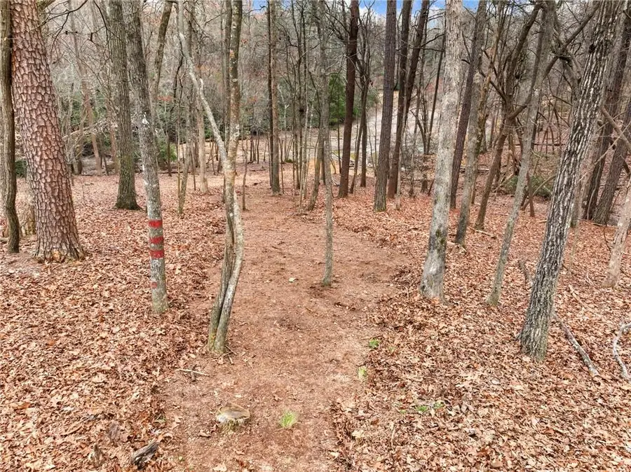 6650 Lake Run Drive, Flowery Branch, GA 30542 - #2