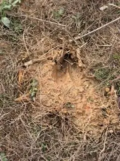 0 Rutledge Road, Acworth, GA 30101 - #2