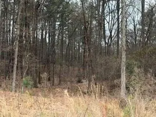 0 Rutledge Road, Acworth, GA 30101 - #3