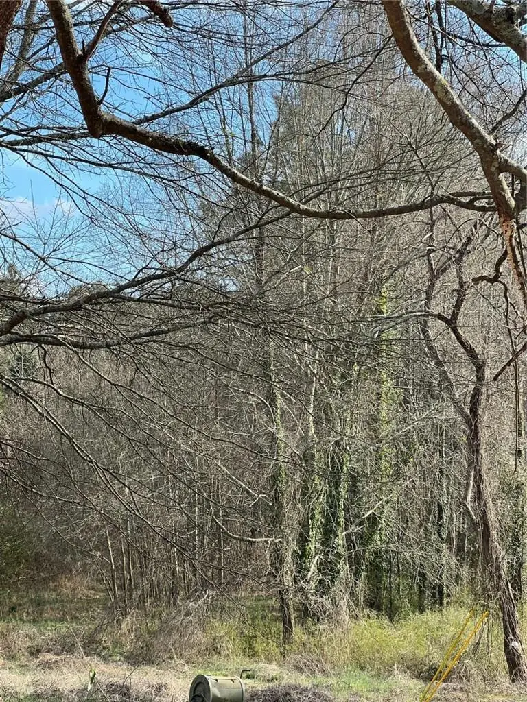 98 Pine Shadows Drive, Dallas, GA 30157 - #2