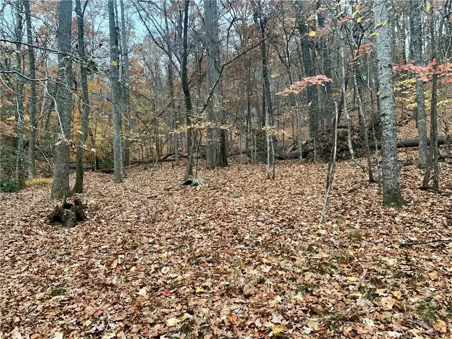 431 Tamarack Drive, Jasper, GA 30143 - #3