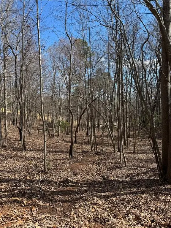 2526 Turnbury Lane, Big Canoe, GA 30143 - #3