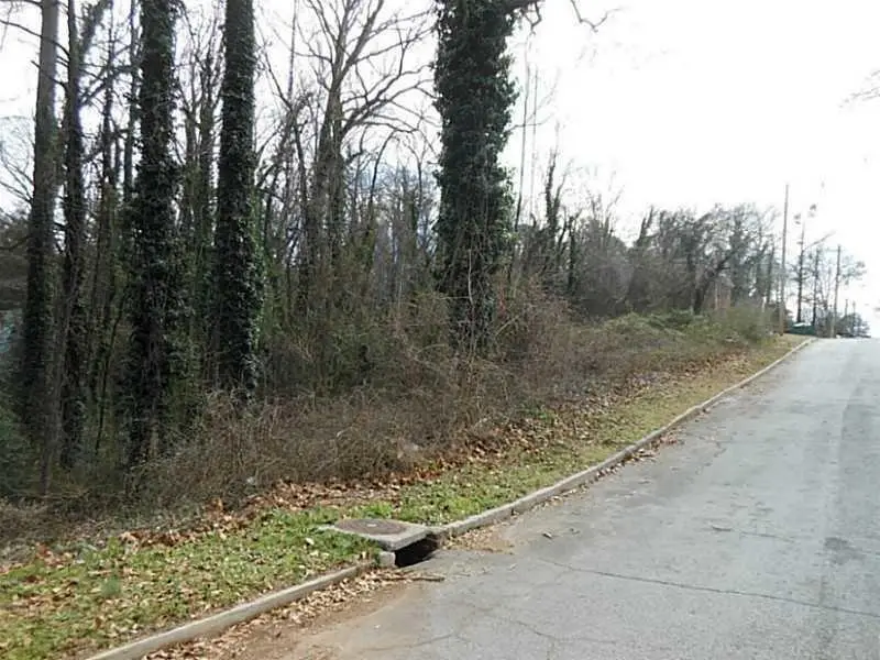 1919 Virginia Avenue, Atlanta, GA 30337 - #3