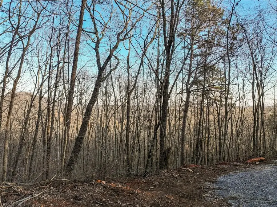 Lot 7 Mount Mincie Road, Murrayville, GA 30564 - #2