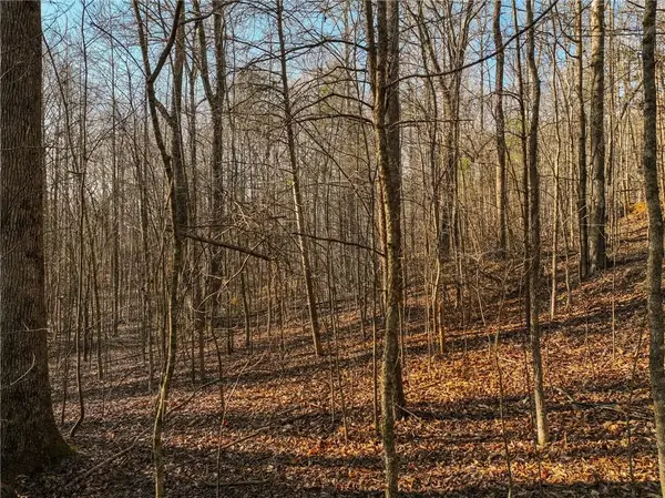 Lot 12 Mount Mincie Road, Murrayville, GA 30564