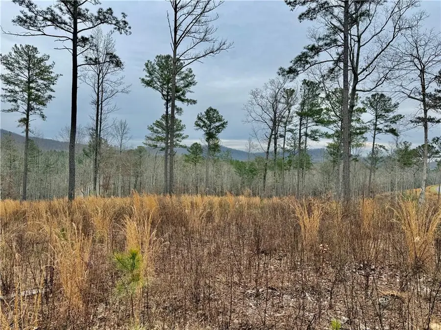 347 Timbercreek Trail, Talking Rock, GA 30175 - #2