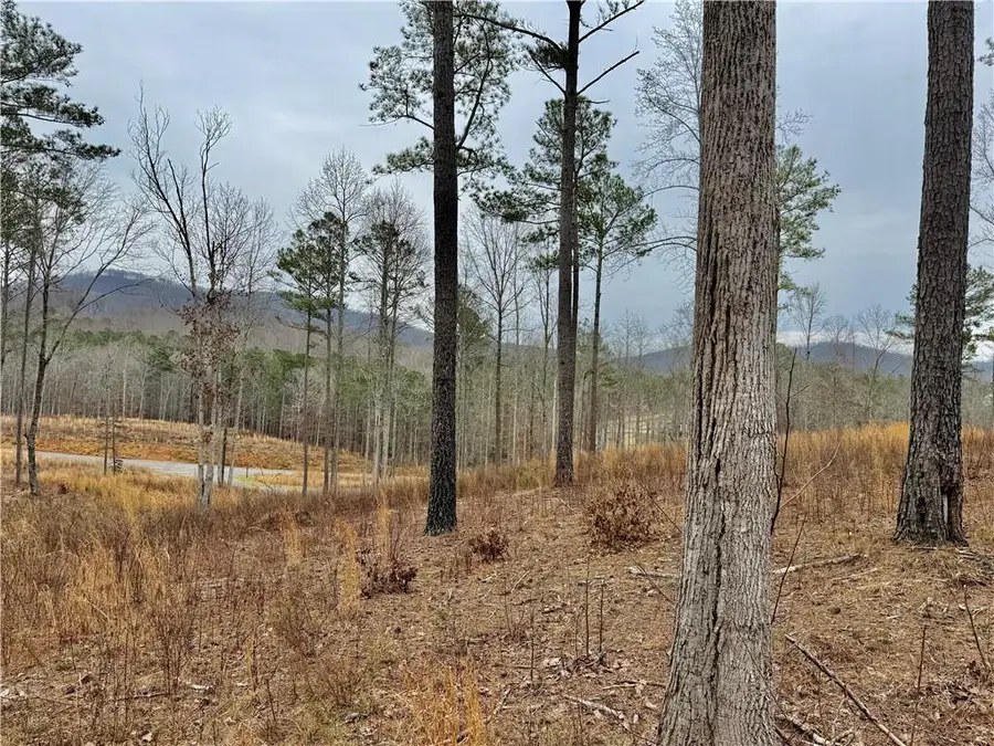 347 Timbercreek Trail, Talking Rock, GA 30175 - #3