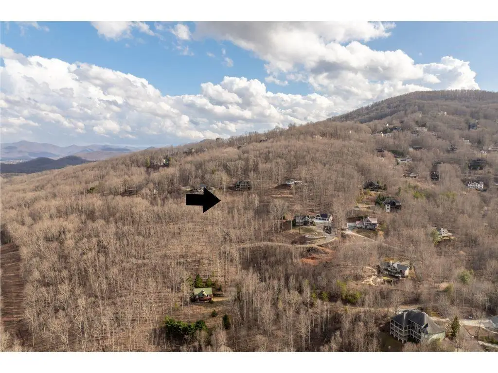 0 Frog Pond Road, Hiawassee, GA 30546 - #1