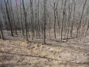 101 Deer Run, Big Canoe, GA 30143 - #2