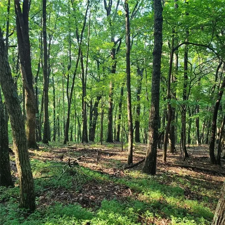 101 Deer Run, Big Canoe, GA 30143 - #3