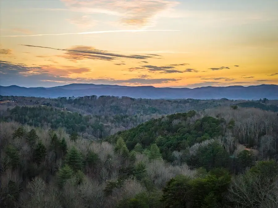 196 S Williamstown Ridge, Mineral Bluff, GA 30559 - #2