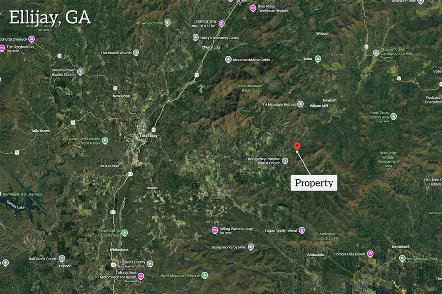 225 Smallwood Road, Ellijay, GA 30536 - #3