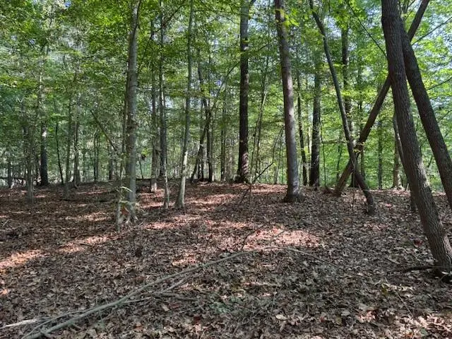 344 Jesse Martin Trail, Canton, GA 30115 - #2