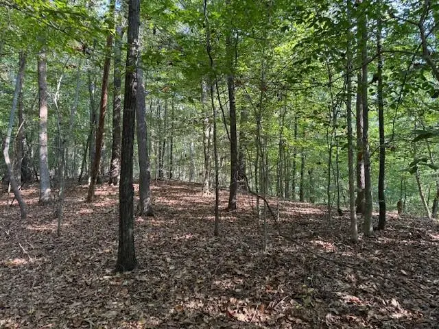 344 Jesse Martin Trail, Canton, GA 30115 - #3