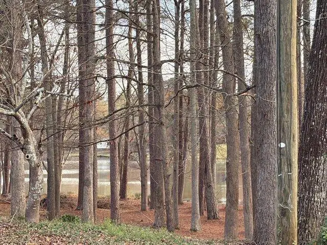 110 Kline Circle, Griffin, GA 30224 - #2