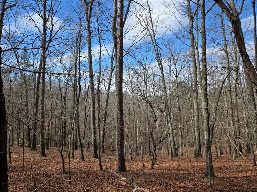789 Allred Mill Road, Jasper, GA 30143 - #3