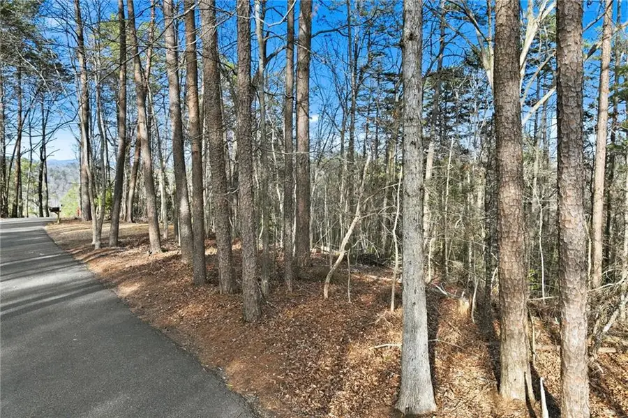 0 Dogwood Court, Dahlonega, GA 30533 - #3