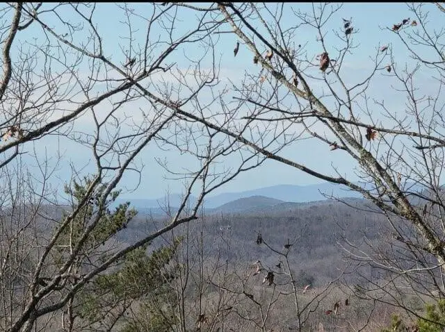 100 Hidden Hollow Lane, Dahlonega, GA 30533 - #2