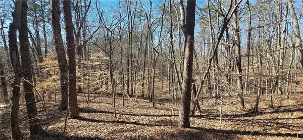 00001 Friendship Trail, Talking Rock, GA 30175