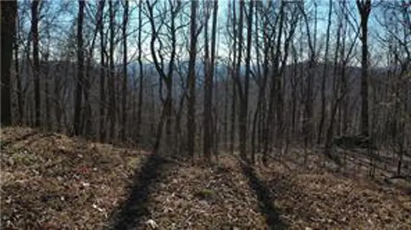 243 Dragon Trail, Ellijay, GA 30536