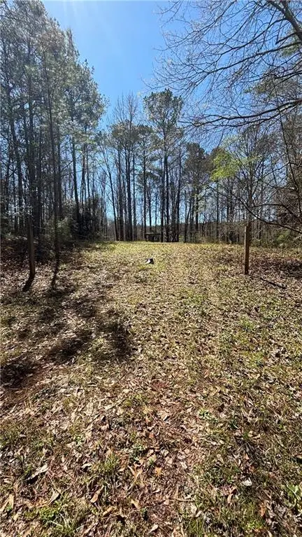 197 Cowan Road Se, Conyers, GA 30094 - #2