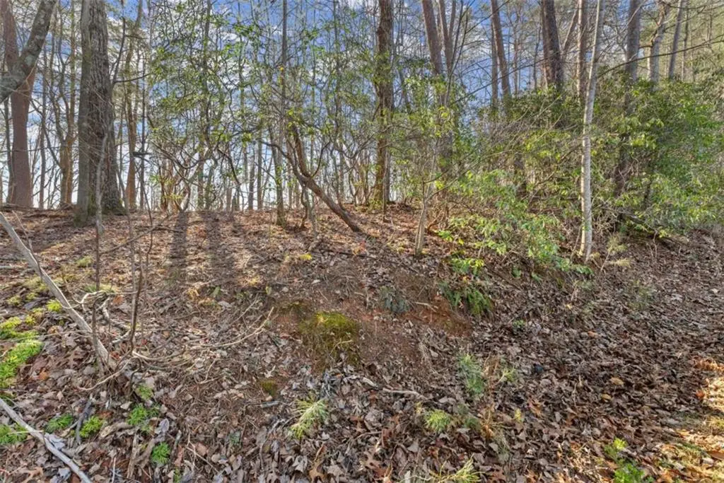 LOT 6 Sweet Apple Lane, Dahlonega, GA 30533 - #1