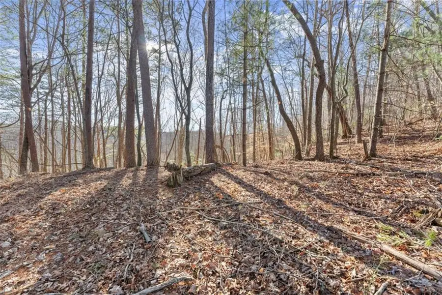 LOT 6 Sweet Apple Lane, Dahlonega, GA 30533 - #2