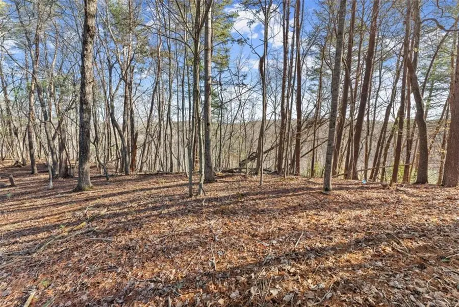 LOT 6 Sweet Apple Lane, Dahlonega, GA 30533 - #3