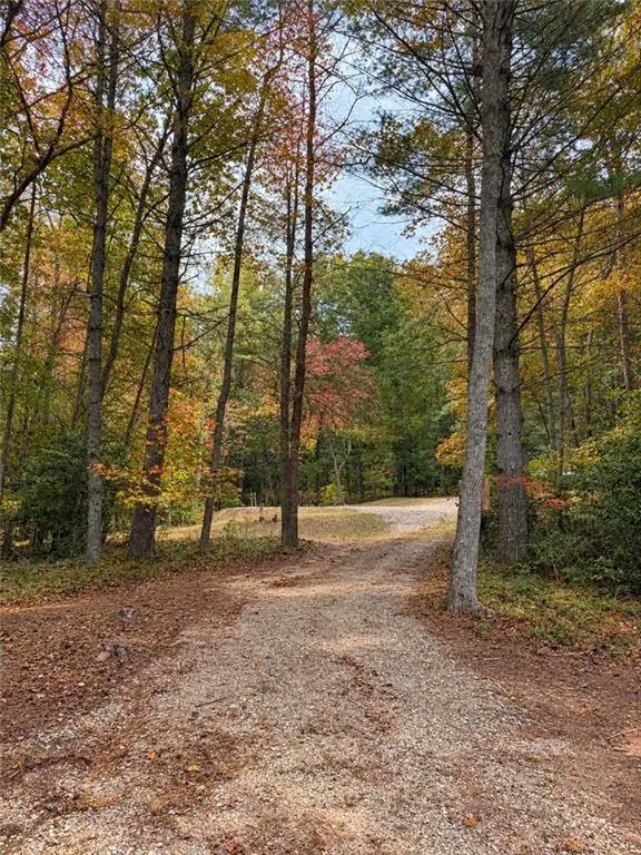184 Whisper Cove, Blairsville, GA 30512 - #2