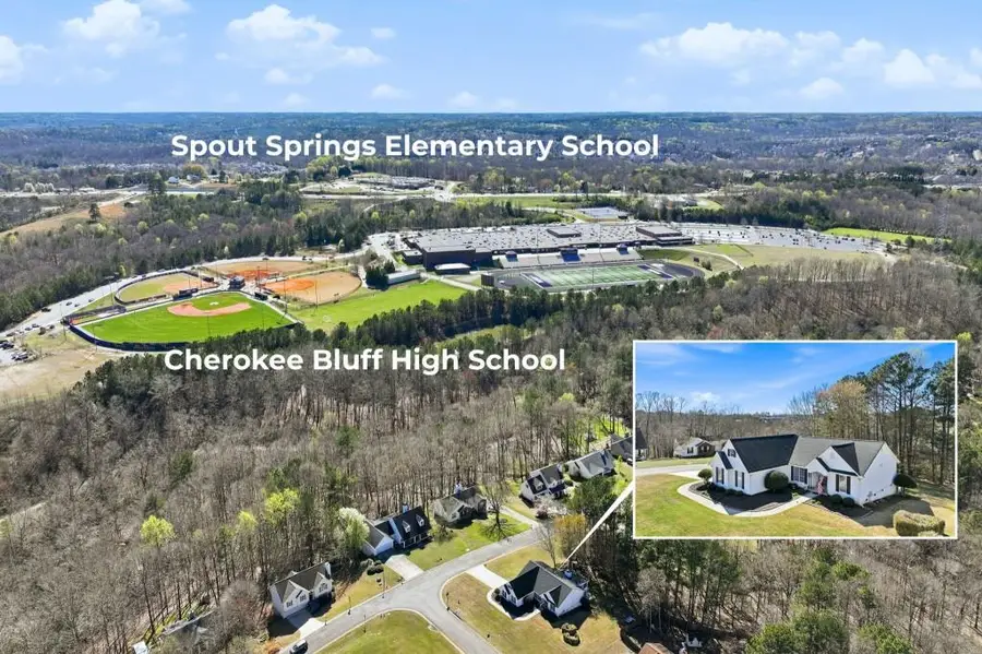 5551 Chestnut Creek Lane, Flowery Branch, GA 30542 - #2
