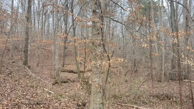 00Lot3 N Helton Road, Douglasville, GA 30135 - #2