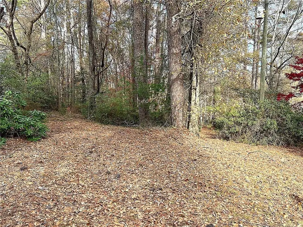 667 B Avery Road, Canton, GA 30115 - #1