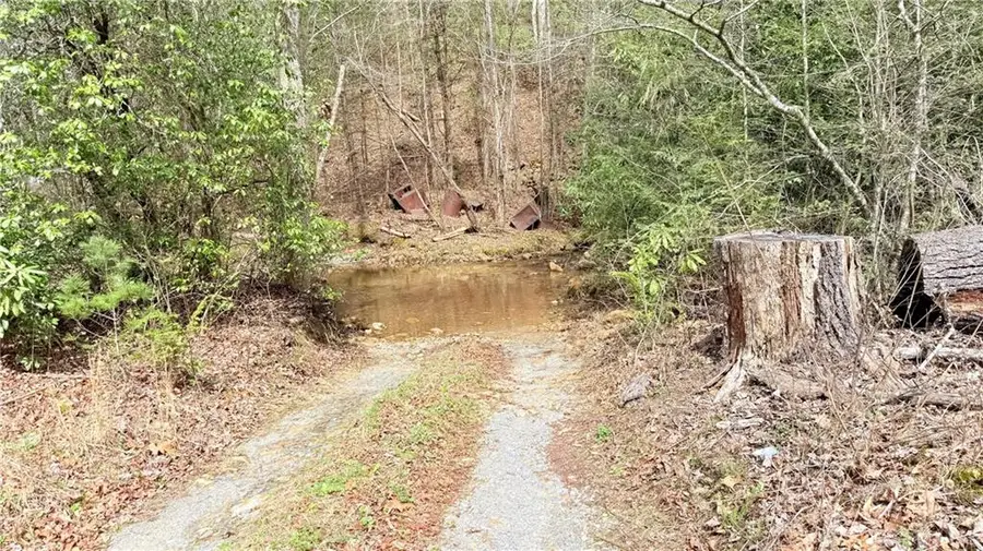 8072 Doublehead Gap Road, Blue Ridge, GA 30513 - #2