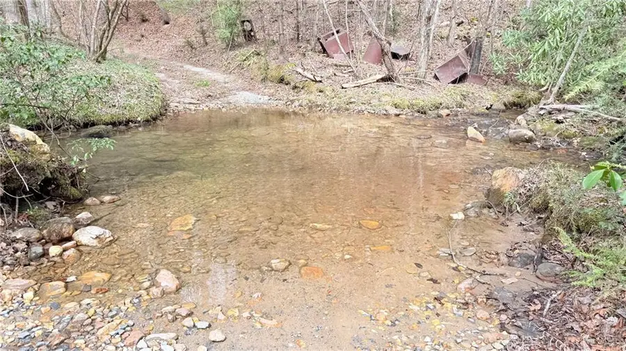 8072 Doublehead Gap Road, Blue Ridge, GA 30513 - #3