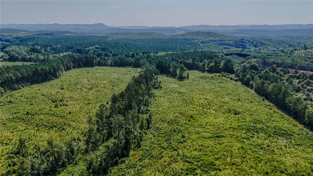 Lot 1 Back Valley Road, Lyerly, GA 30730 - #1