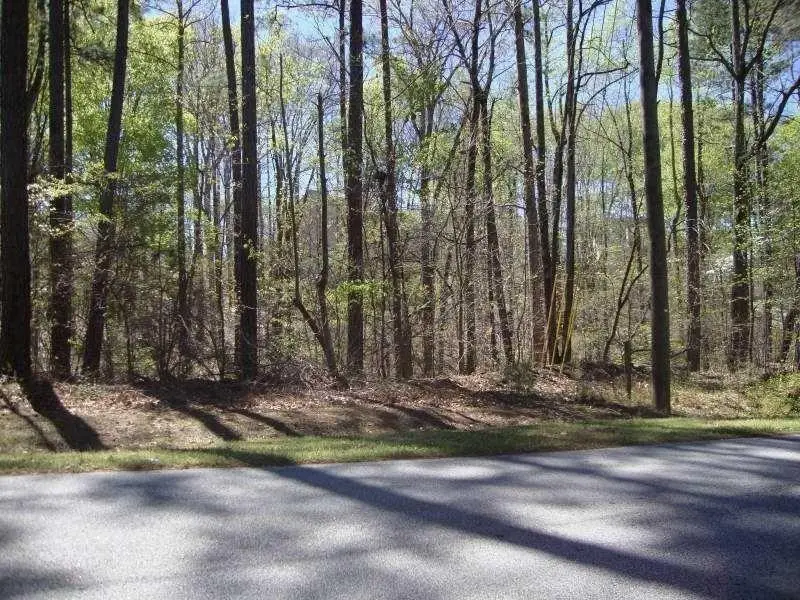 2515 Slater Mill Road, Douglasville, GA 30135 - #1