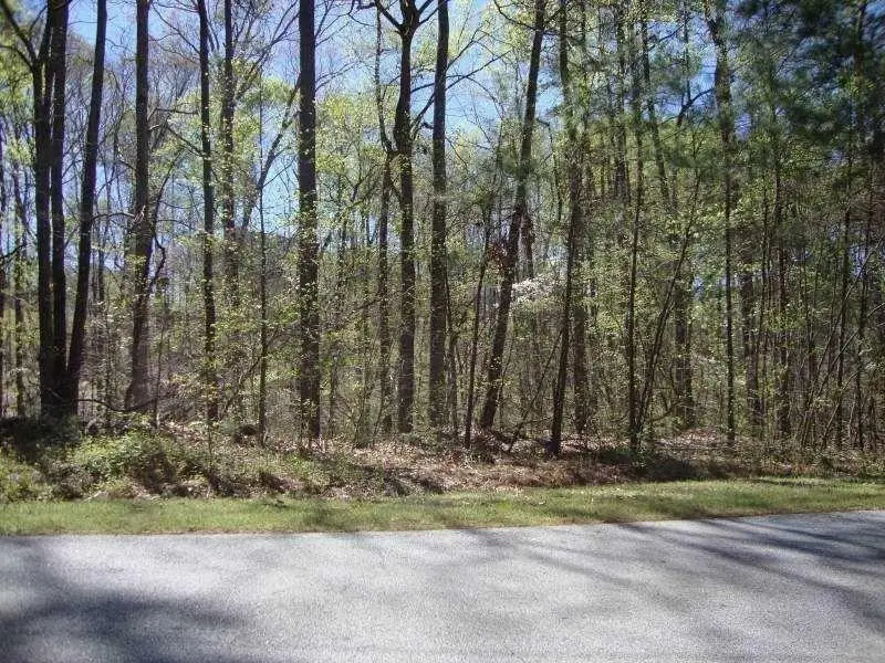 2515 Slater Mill Road, Douglasville, GA 30135 - #2