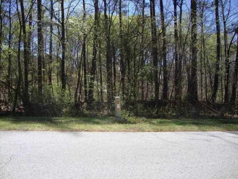 2515 Slater Mill Road, Douglasville, GA 30135 - #3