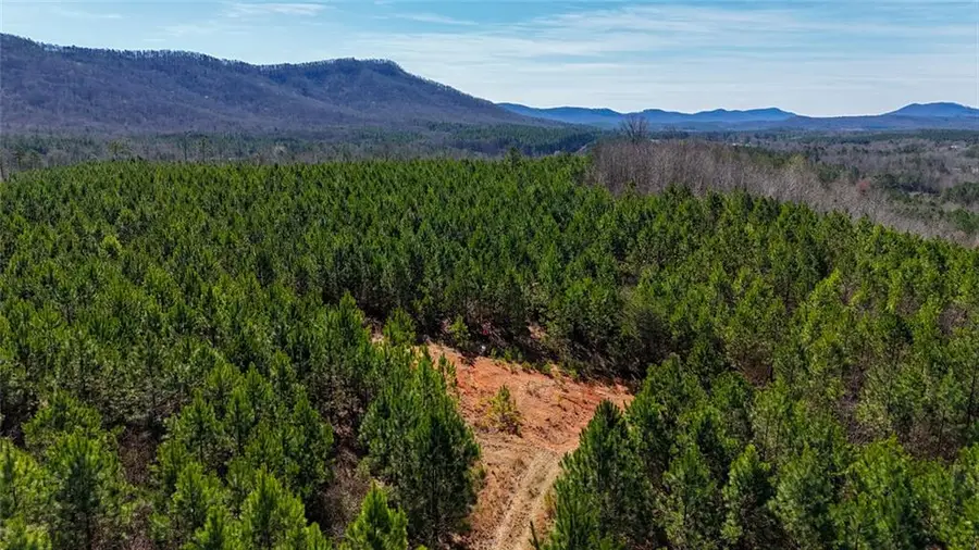 0 Highway 100, Summerville, GA 30747 - #3