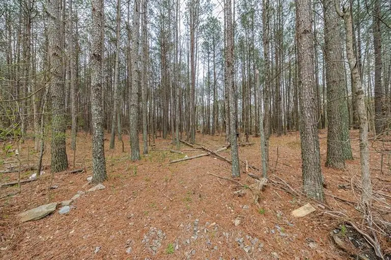 13585 Arnold Mill Road, Milton, GA 30075 - #3