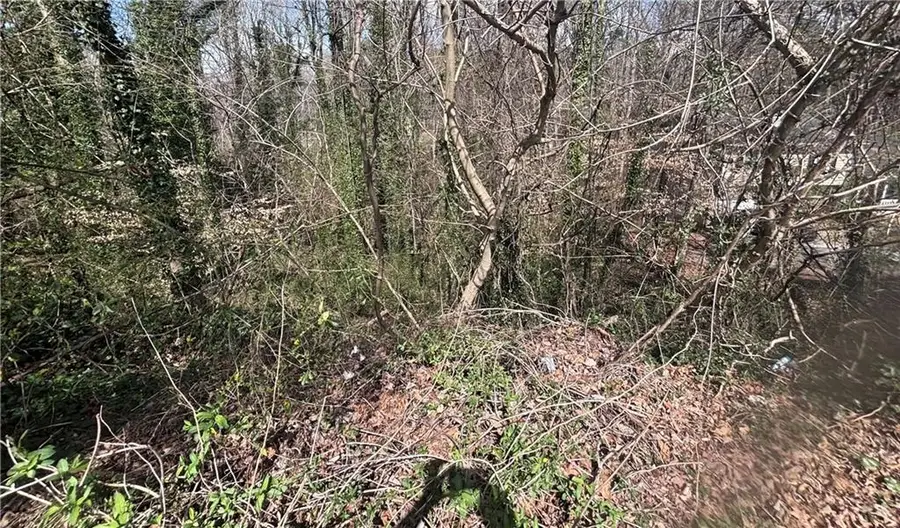 4710 Cleveland Road, Lithonia, GA 30038 - #2