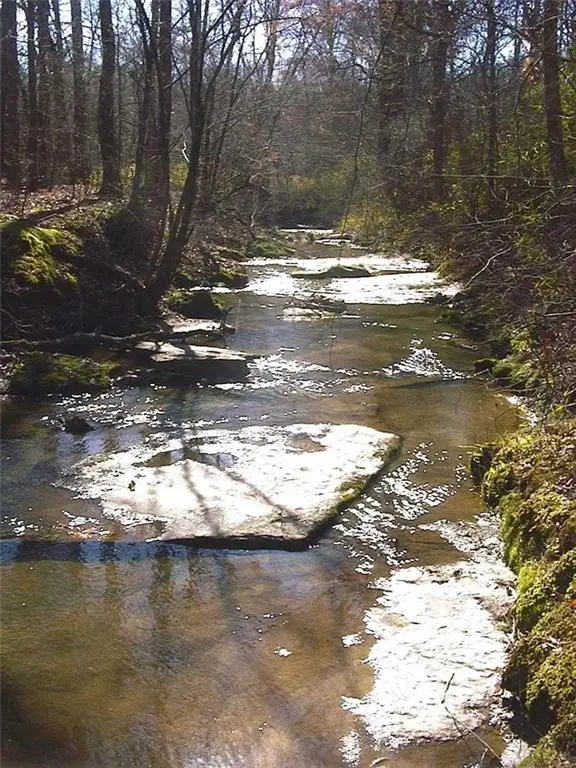 4966 Rabbit Farm Road, Loganville, GA 30052 - #2