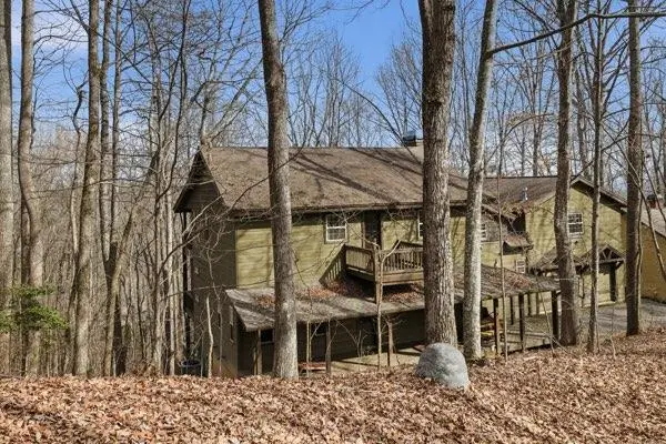 318 Wilmot Fabus Mountain Road, Blairsville, GA 30512 - #3