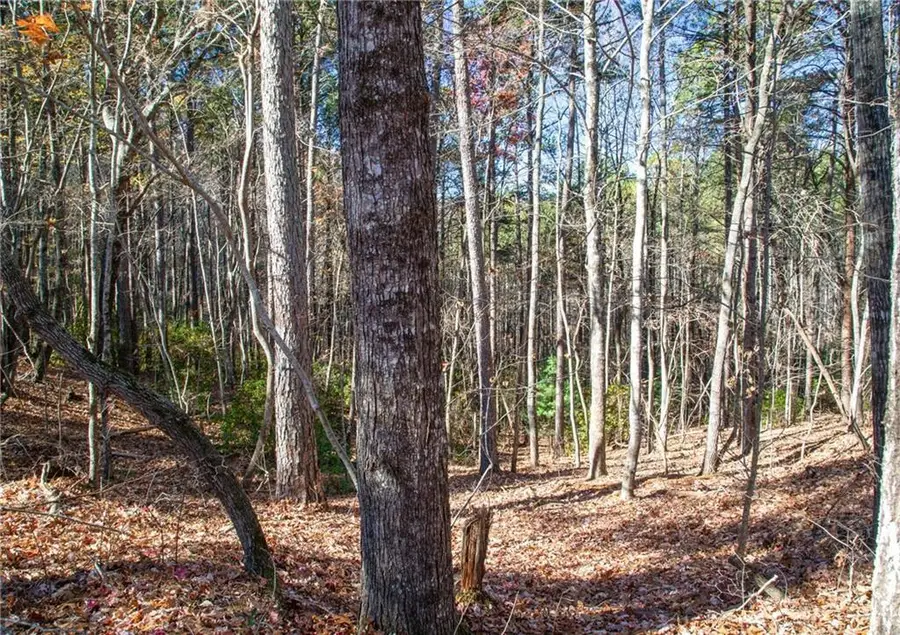 Lot 26 Waldrip Road, Dawsonville, GA 30534 - #2