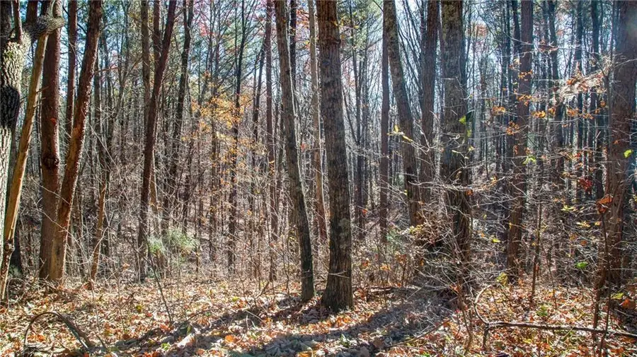 Lot 26 Waldrip Road, Dawsonville, GA 30534 - #3