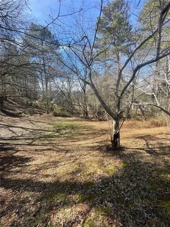 4675 Riveredge Cove, Snellville, GA 30039 - #2