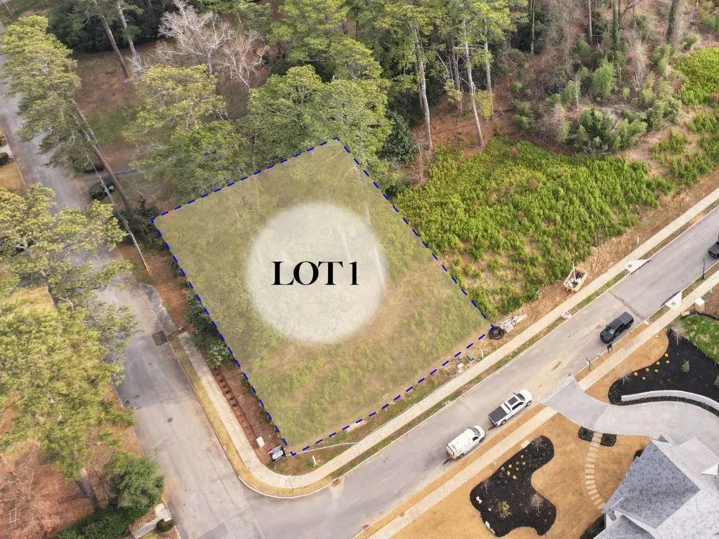 462 Emily Reed Lane, Atlanta, GA 30342 - #1